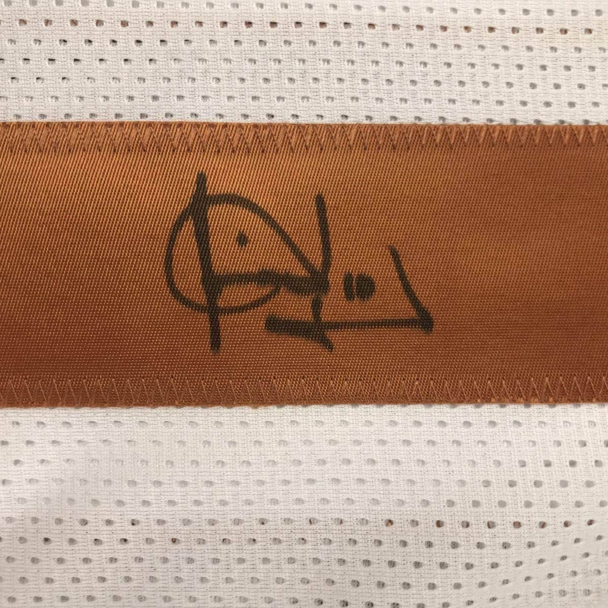 Framed Autographed/Signed Vince Young 35x39 Texas White College Football Jersey GTSM COA Holo Only