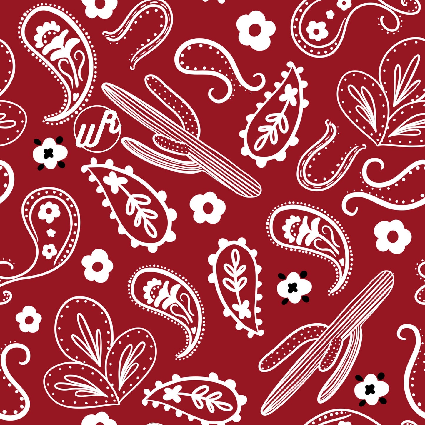 Paisley Cactus Headband