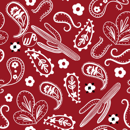 Paisley Cactus Headband