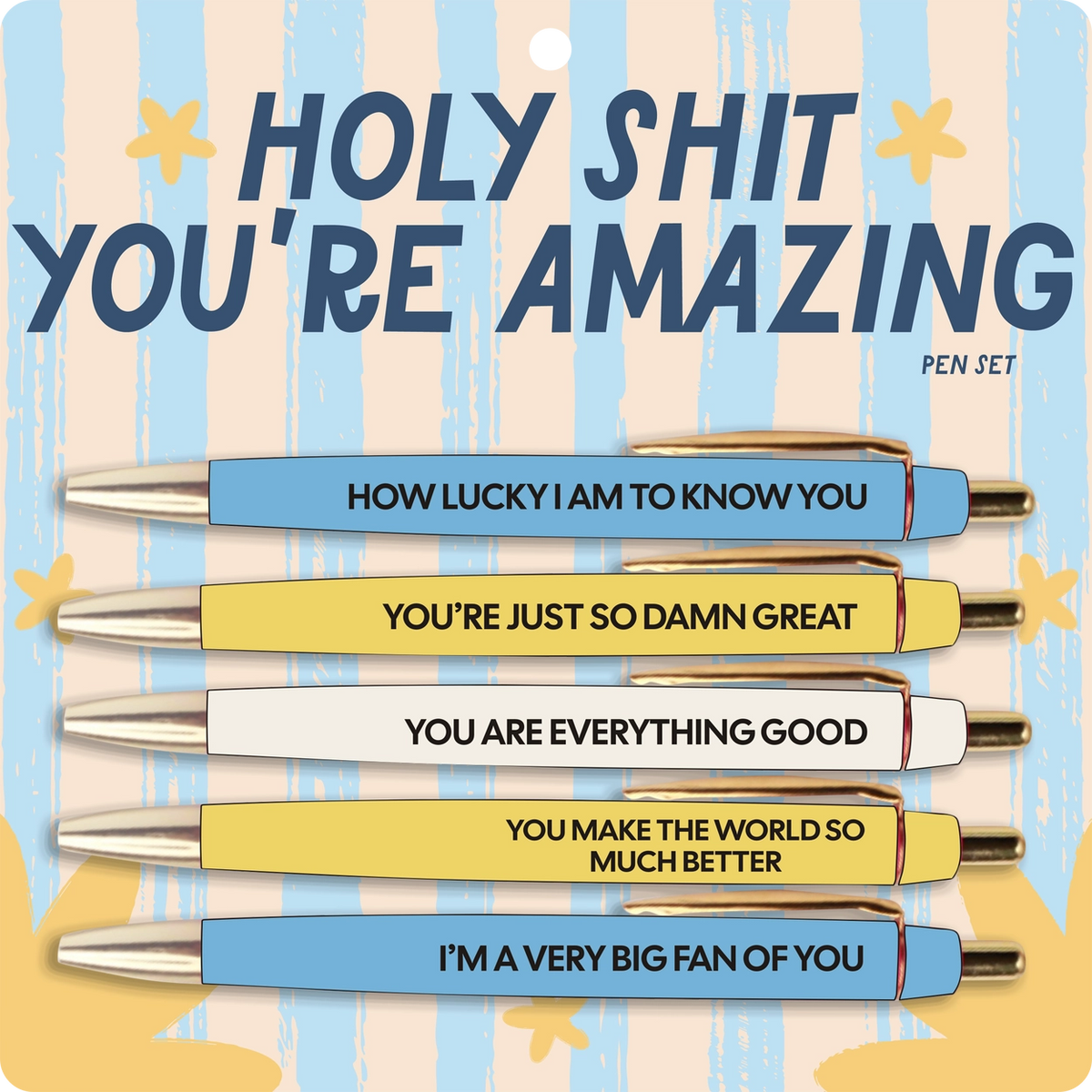 Holy Shit You're Amazing Pen Set – Ballpoint Pens with Compliments