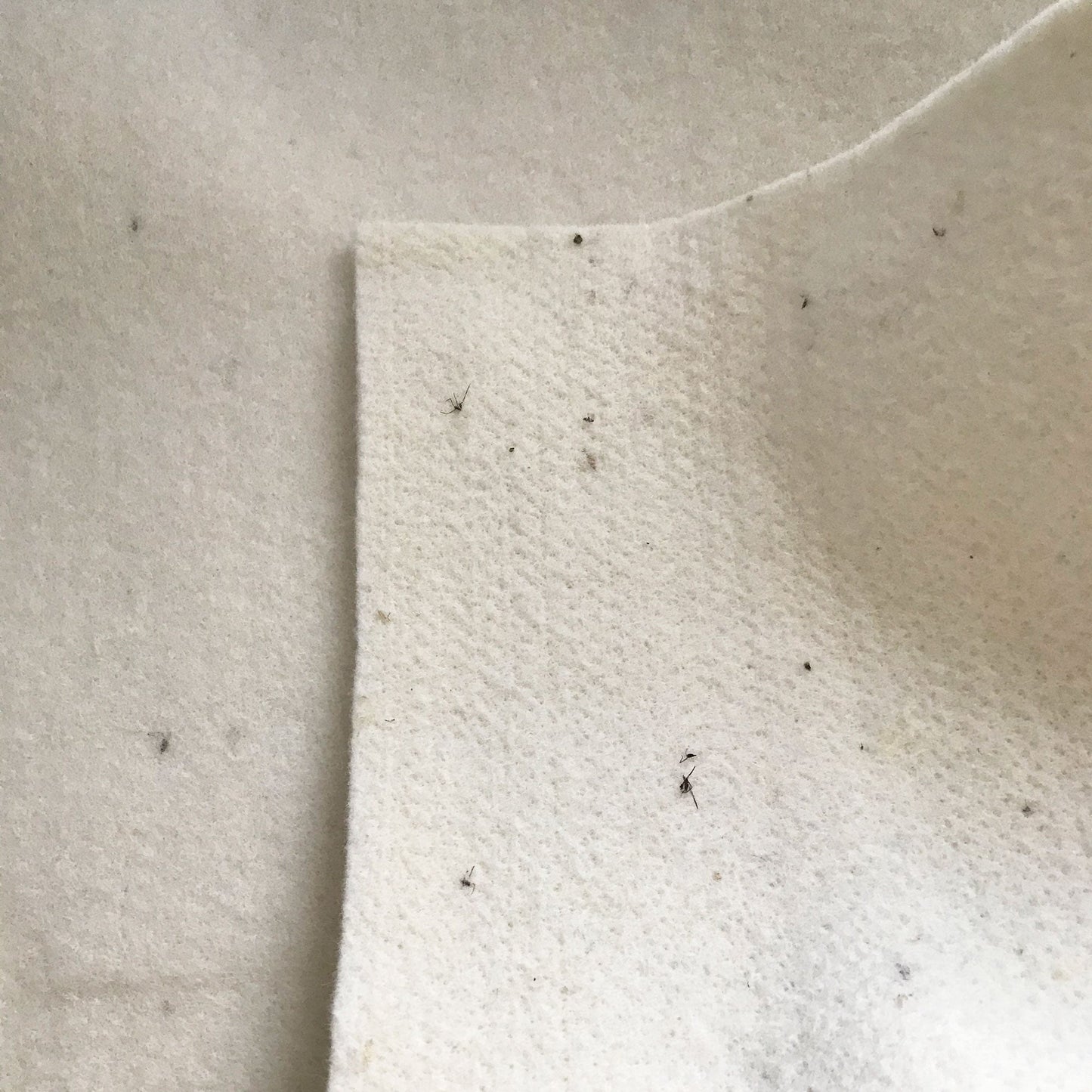 Baby Essential | Organic Wool Puddle Pad – Natural Mattress Protector